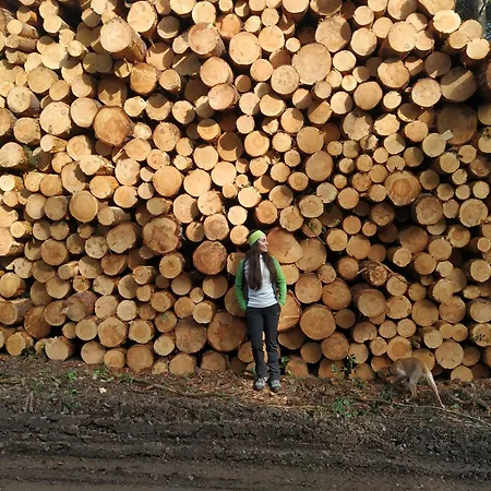 Venkovský dům La Milagrosa *